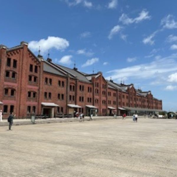 男女平等から一番かけ離れているモラハラ夫！横浜で加害者の本性を紐解きます。フォロワーシップAです